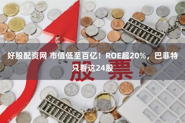 好股配资网 市值低至百亿！ROE超20%，巴菲特只看这24股